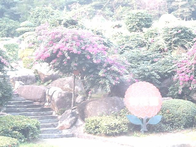 DSC_0267.JPG
