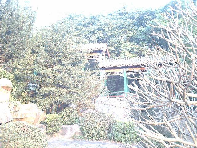 DSC_0255.JPG