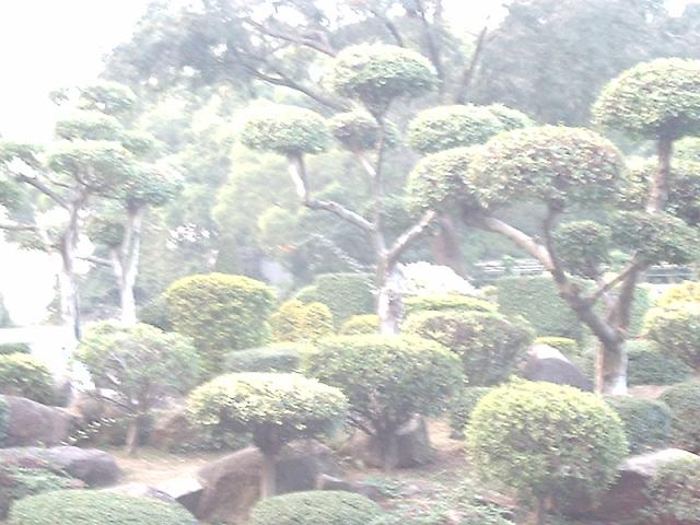 DSC_0265.JPG
