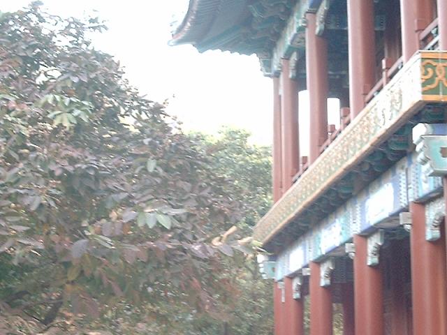 DSC_0270.JPG