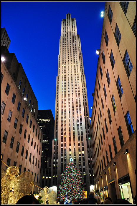 DSC_7388.JPG