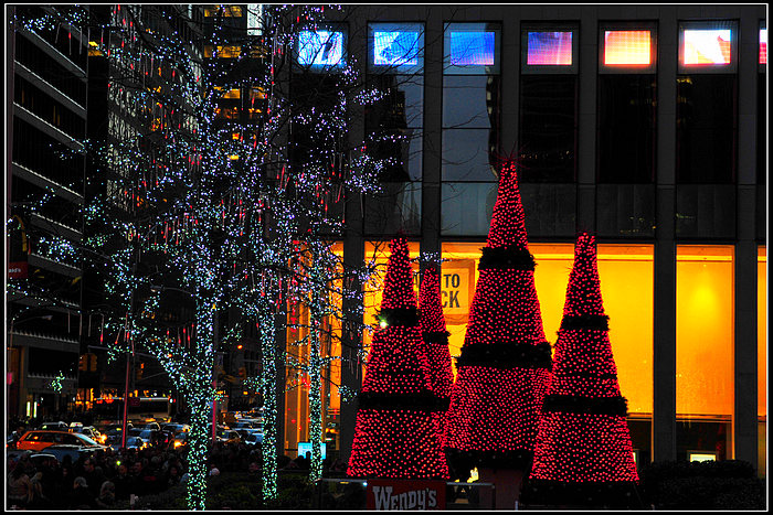 DSC_7297.JPG