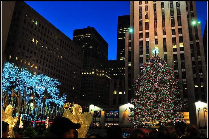 DSC_7409.JPG