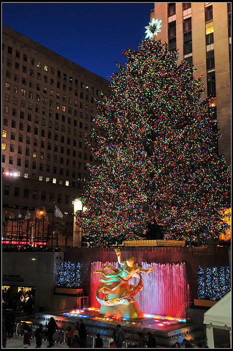 DSC_7457.JPG