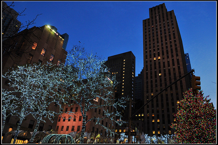 DSC_7349.JPG