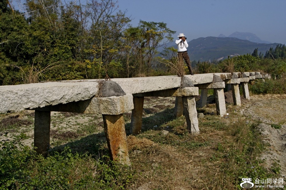 Ƭ 0931.jpg