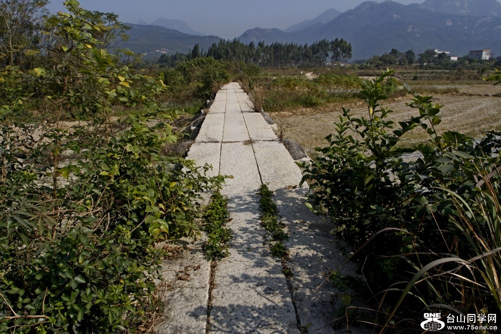 Ƭ 0891.jpg