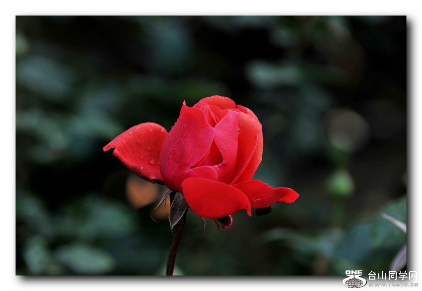 Ƭ 0071.jpg