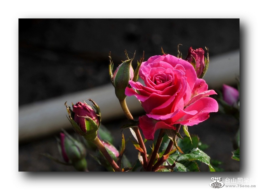 Ƭ 0051.jpg