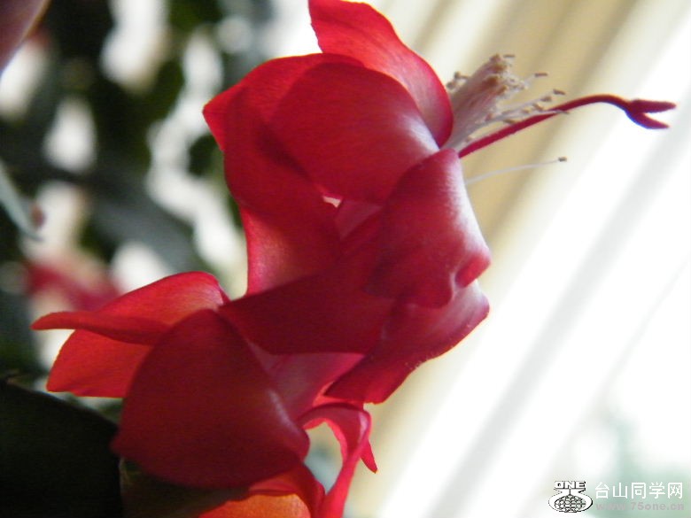 DSCF0007.JPG