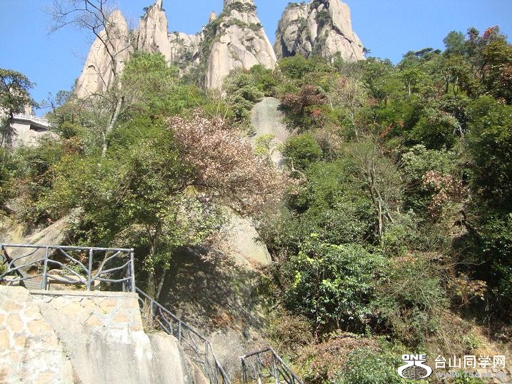 DSC09055.JPG
