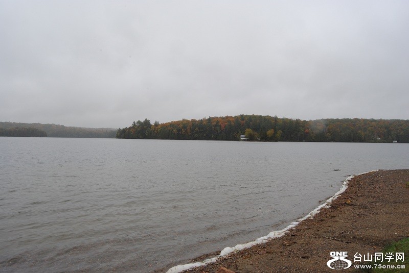 DSC_7879.JPG