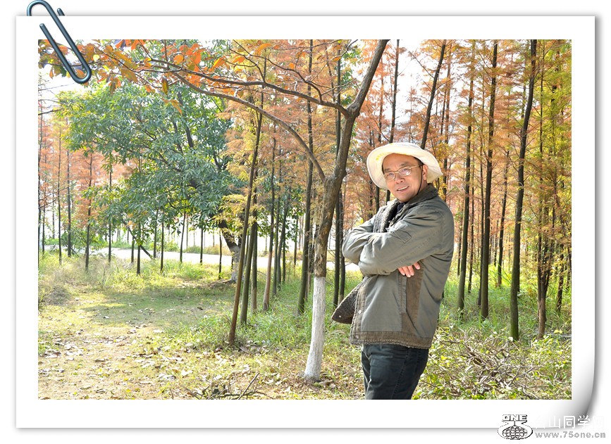 DSC_0241_副本.jpg