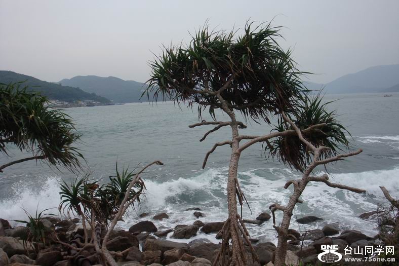 调整大小 DSC06508.JPG