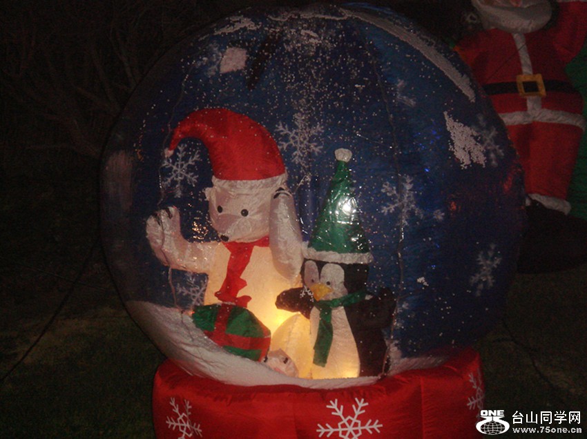 Picture 325_.jpg