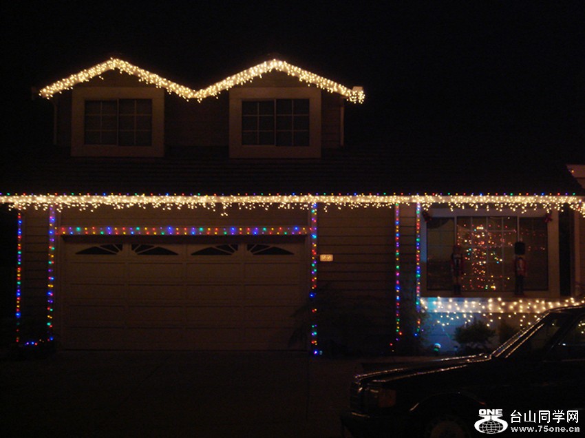 Picture 339_.jpg