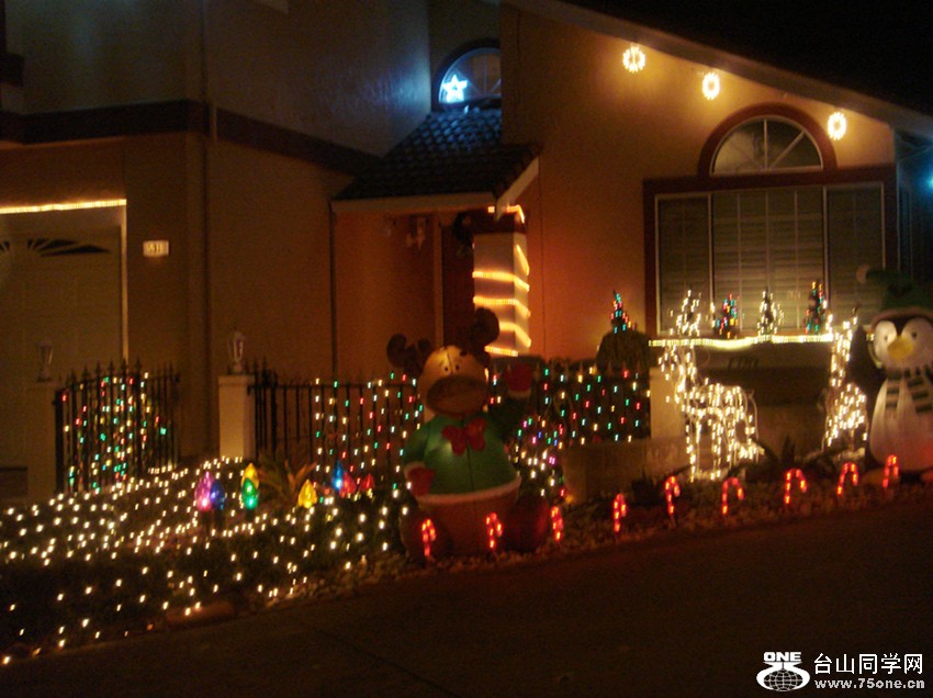 Picture 349_.jpg