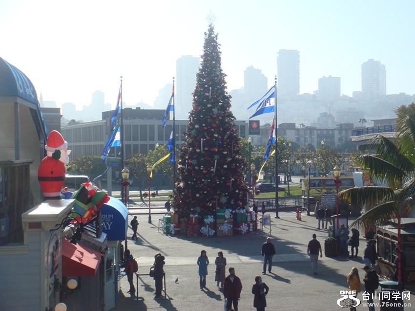 Picture 273_.jpg