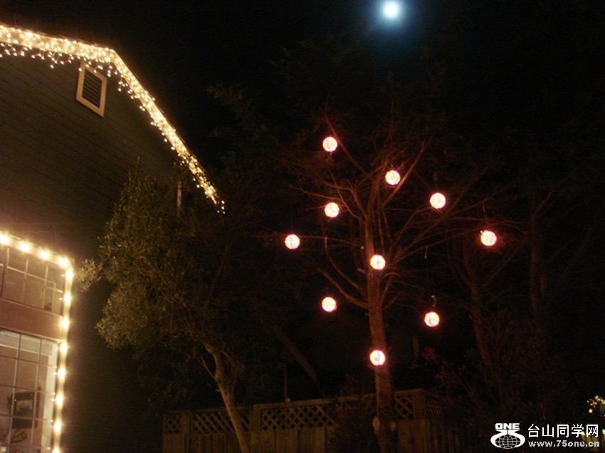 Picture 333_.jpg