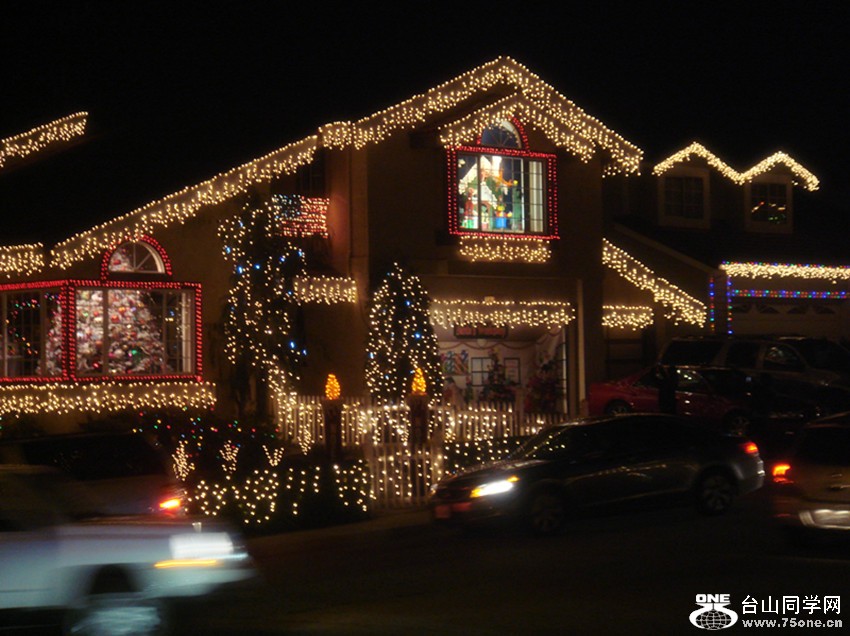 Picture 295_.jpg