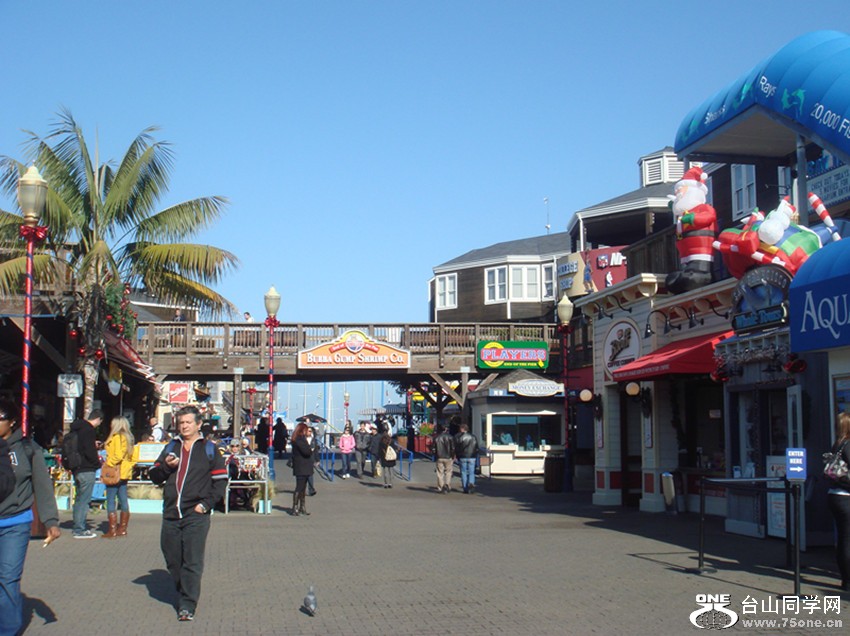 Picture 274_.jpg