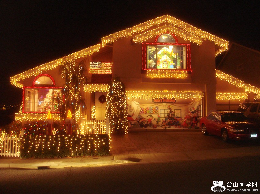 Picture 335_.jpg