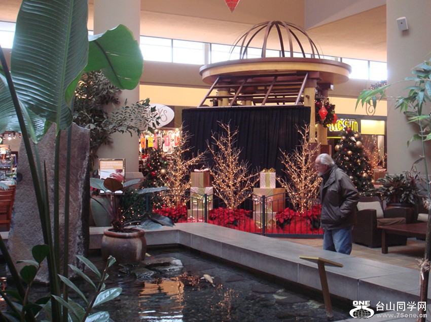 Picture 426_.jpg