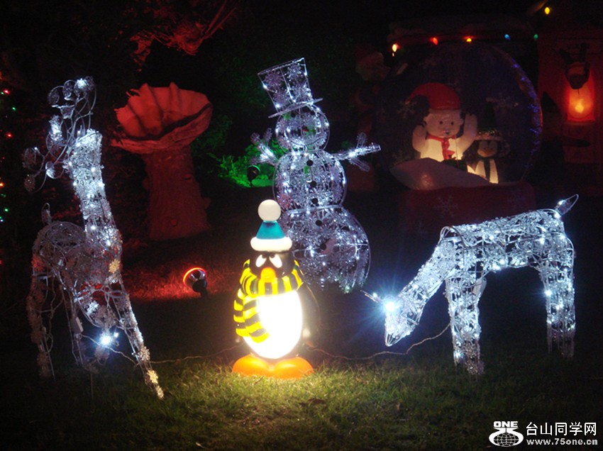 Picture 323_.jpg