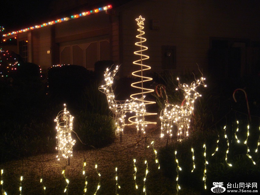 Picture 298_.jpg