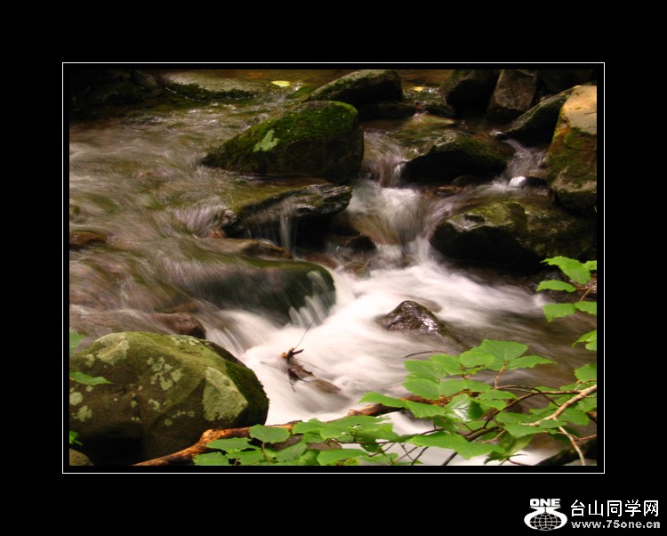 IMG_6027 copy.jpg