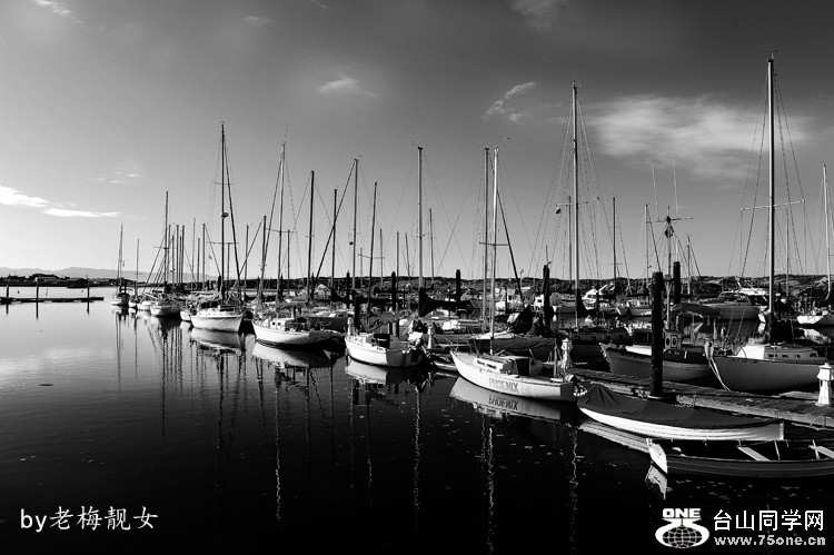 DSC_7755-3.jpg