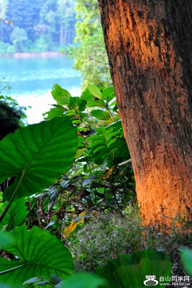 DSC_1024aa.jpg