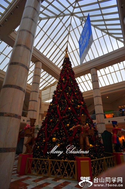 DSC_9710_conew1.jpg