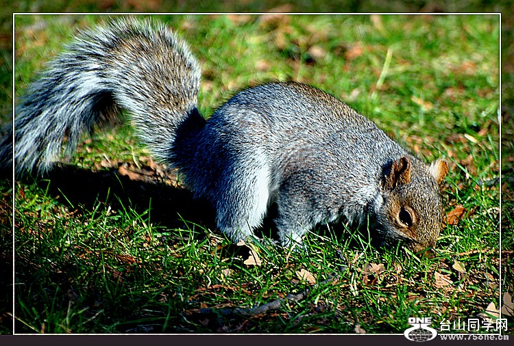 dsc_4907.jpg