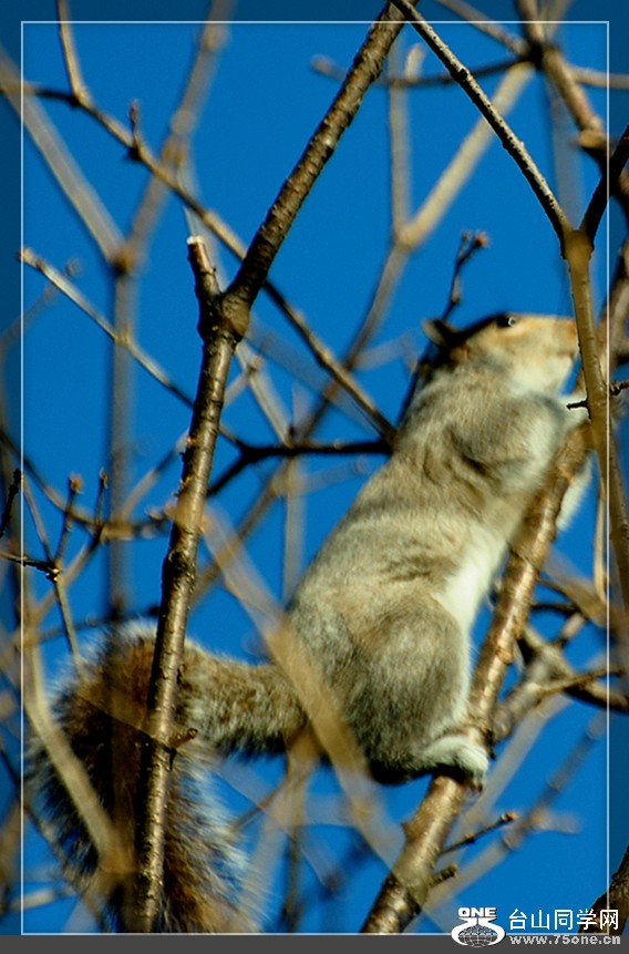 DSC_4809.JPG