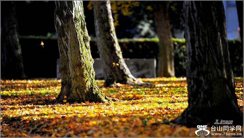 DSC_4917-2.JPG