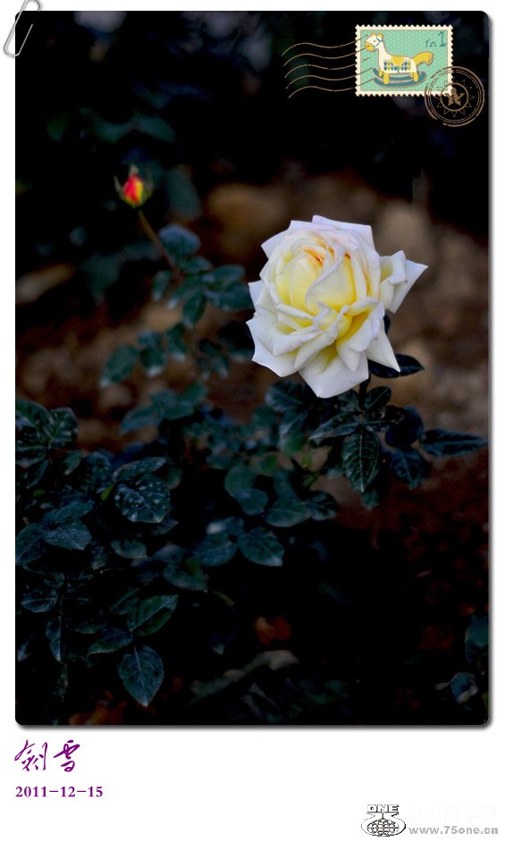 DSC_0140_.jpg