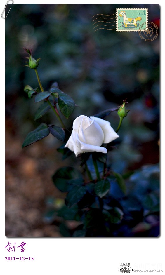 DSC_0136_.jpg