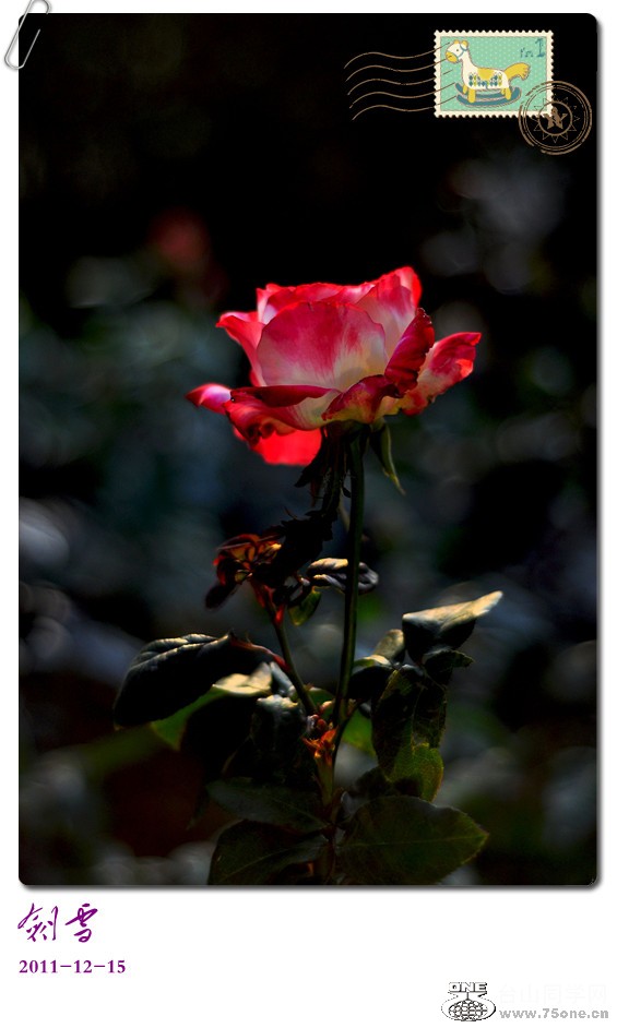 DSC_0089_.jpg