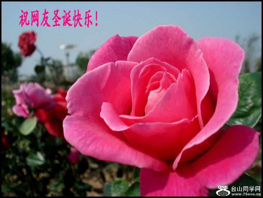 DSC05546_conew1.jpg
