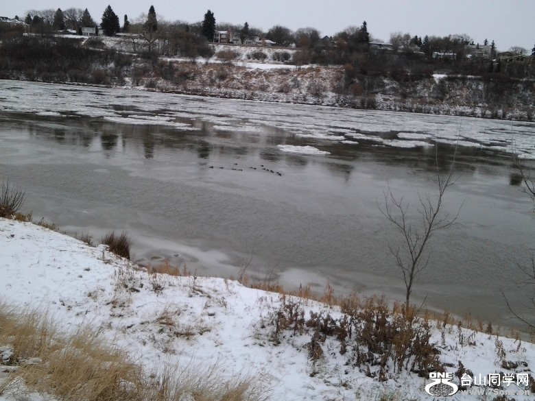 2011-11-17 12.39.09=.jpg