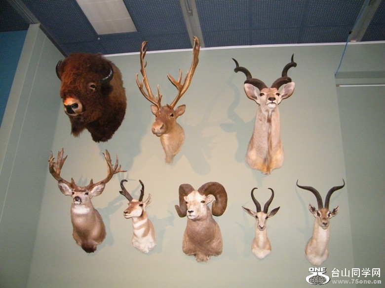193.JPG