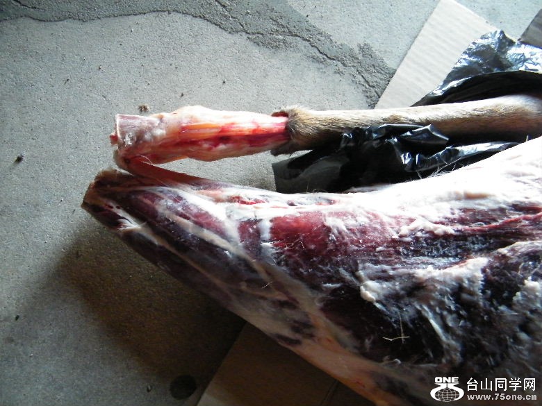 DSCF9704.JPG