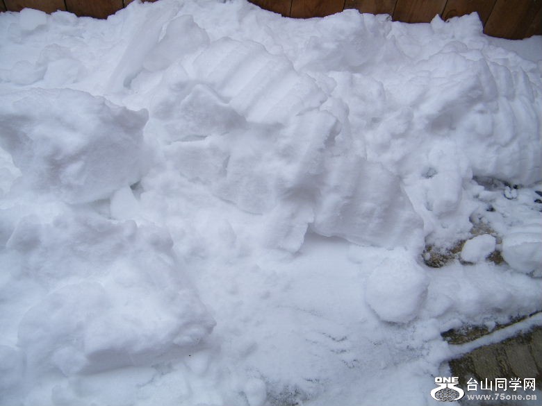 DSCF9485.JPG