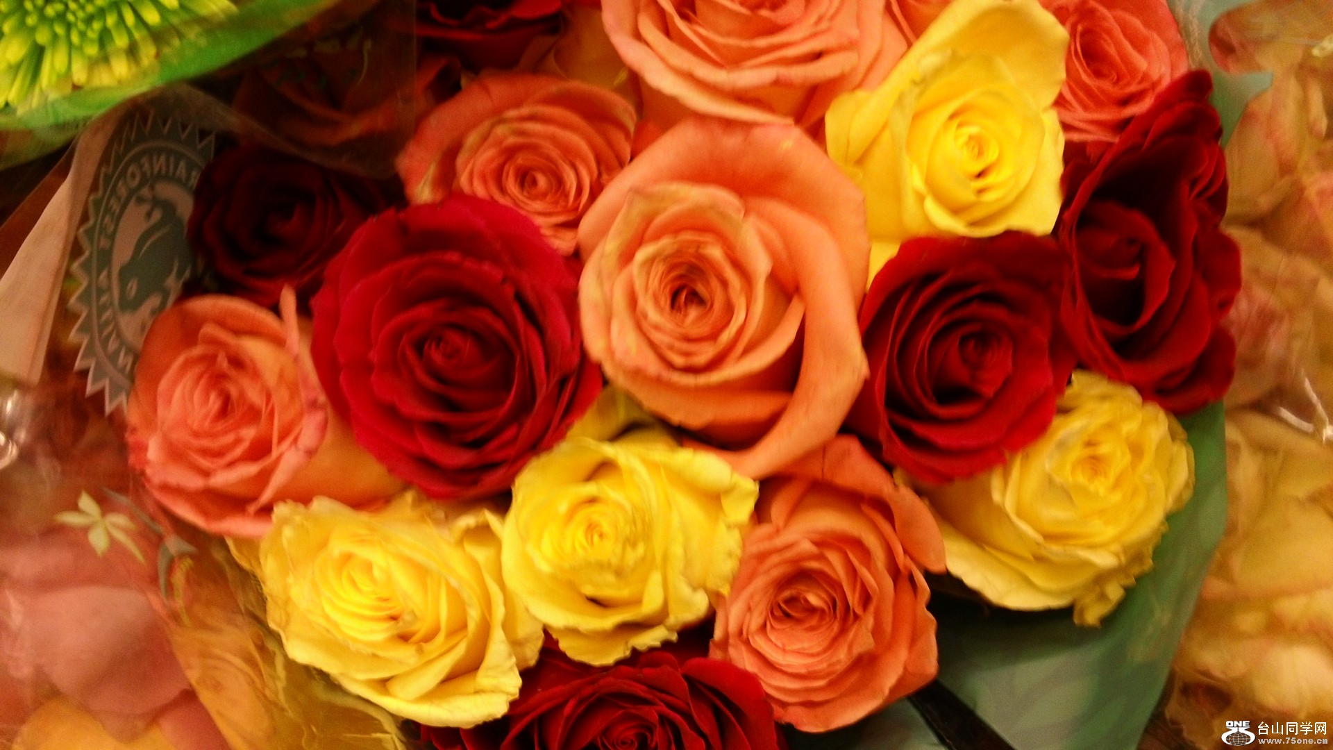 Ƭ 007.jpg