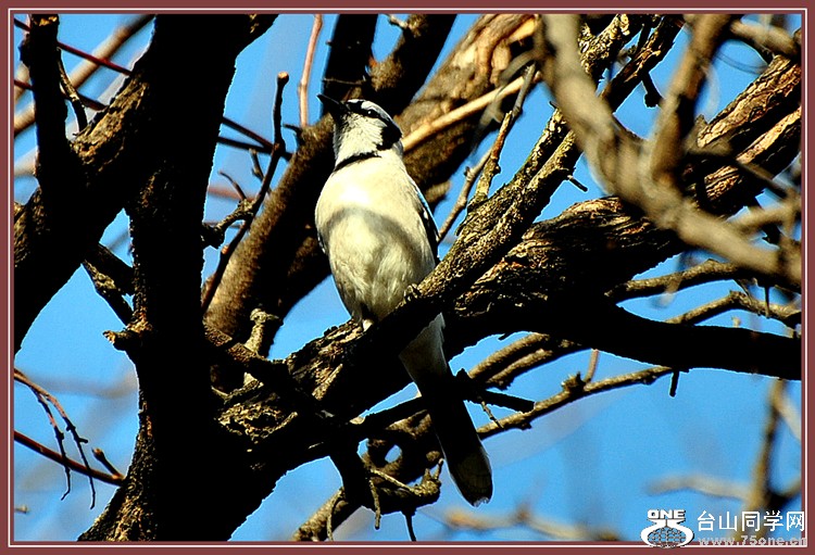 DSC_5896.JPG