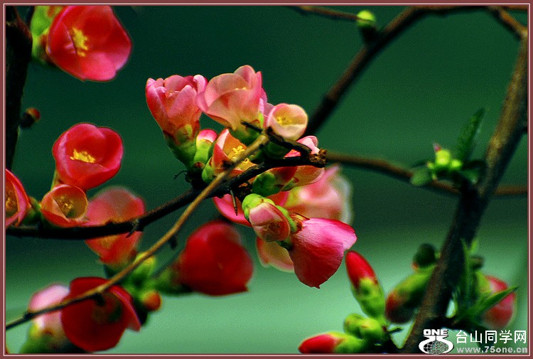 DSC_6727.JPG