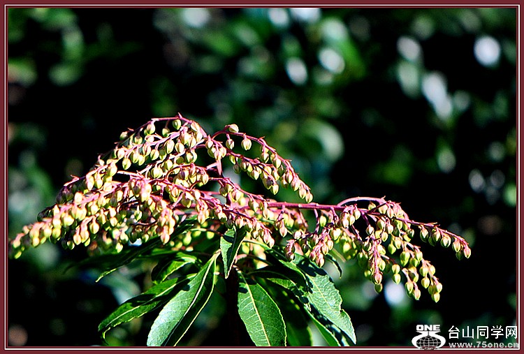 DSC_5832.JPG