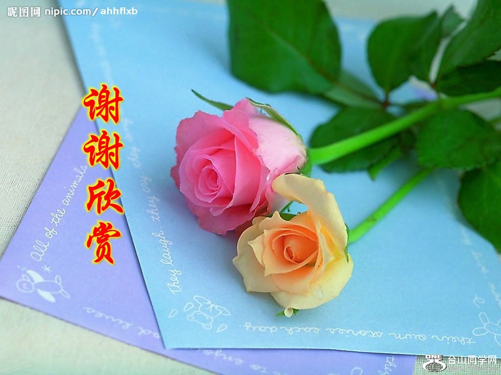2008217134222836_2_conew1.jpg