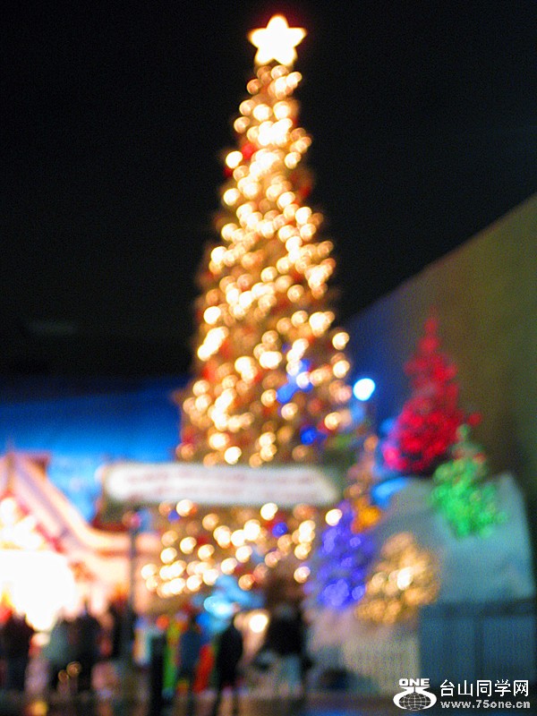 IMG_0229_.jpg